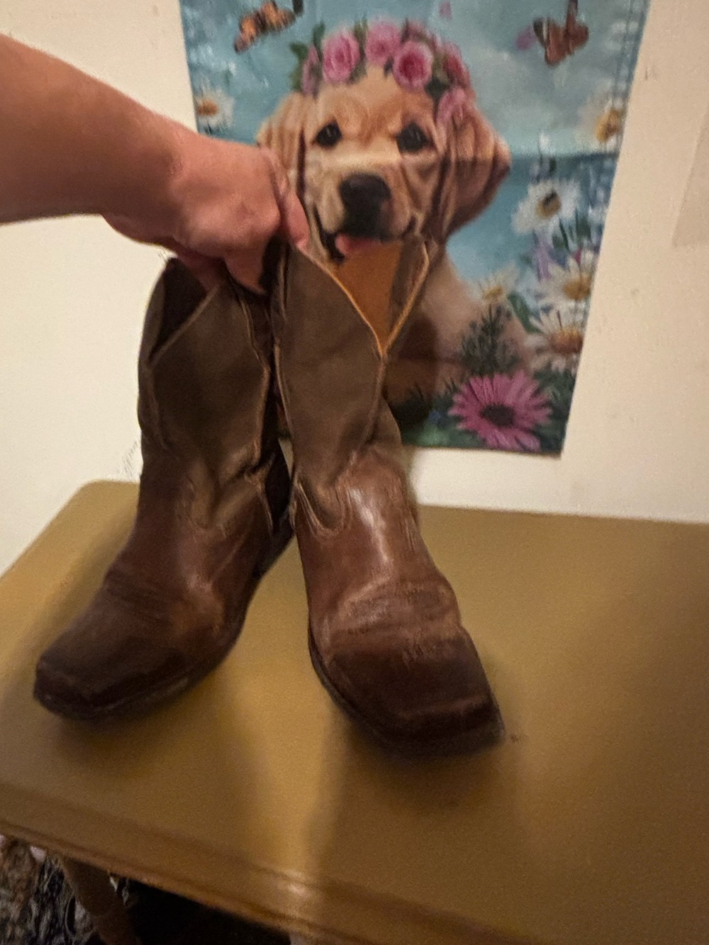 Ariat Brown Distressed Leather Western Boots